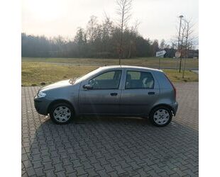 Fiat Punto Gebrauchtwagen
