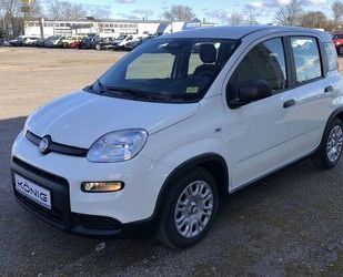 Fiat Panda Gebrauchtwagen