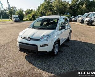Fiat Panda Gebrauchtwagen