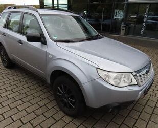 Subaru Forester Gebrauchtwagen