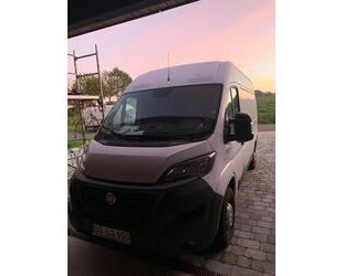 Fiat Ducato Gebrauchtwagen