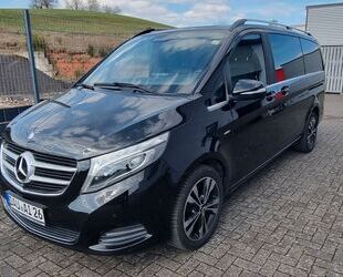 Mercedes-Benz V 250 Gebrauchtwagen