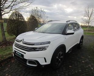 Citroen C5 Aircross Gebrauchtwagen