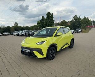 BYD DOLPHIN Gebrauchtwagen