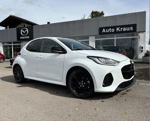 Mazda 2 Hybrid Gebrauchtwagen