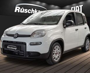 Fiat Panda Gebrauchtwagen