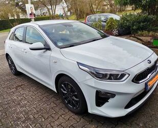 Kia ceed / Ceed Gebrauchtwagen