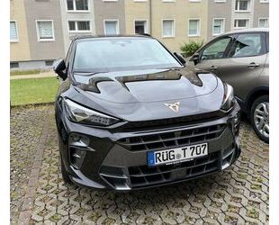 Cupra Terramar Gebrauchtwagen