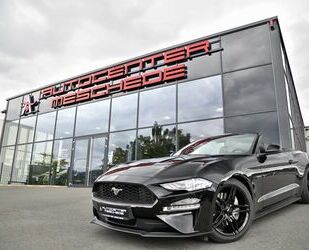 Audi Mustang 