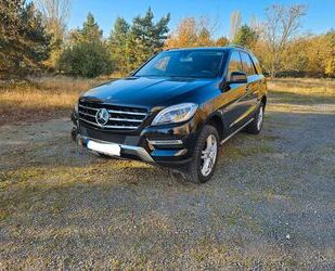 Mercedes-Benz ML 500 Gebrauchtwagen