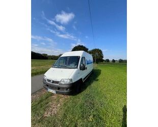 Fiat Ducato Gebrauchtwagen