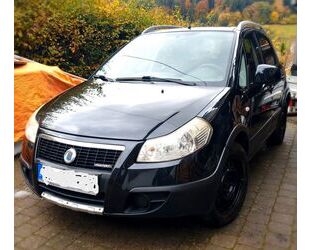 Fiat Sedici Gebrauchtwagen