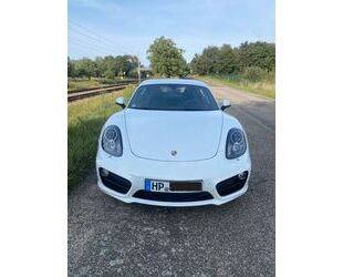 Porsche Cayman Gebrauchtwagen