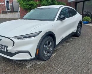 Ford Mustang Mach-E Gebrauchtwagen