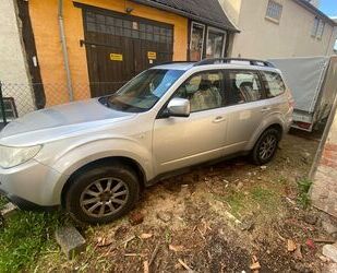 Subaru Forester Gebrauchtwagen