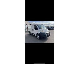 Fiat Ducato Gebrauchtwagen
