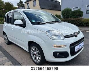 Fiat Panda Gebrauchtwagen