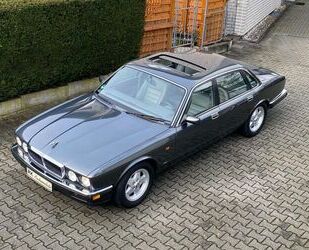 Jaguar XJ6 Gebrauchtwagen