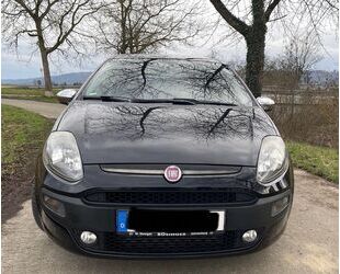 Fiat Punto Evo Gebrauchtwagen