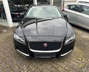 Jaguar XF Gebrauchtwagen
