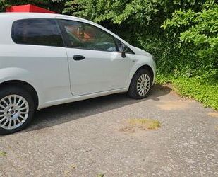 Fiat Punto Gebrauchtwagen