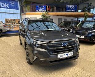 Subaru Forester Gebrauchtwagen