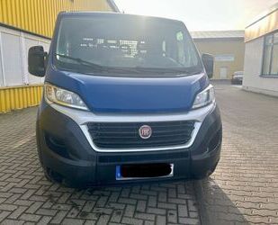 Fiat Ducato Gebrauchtwagen