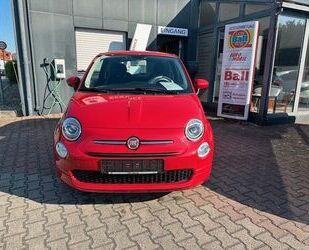 Fiat 500 Gebrauchtwagen