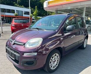 Fiat Panda Gebrauchtwagen