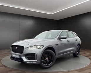 Jaguar F-Pace Gebrauchtwagen