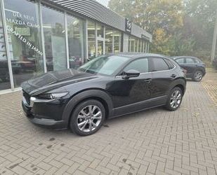 Mazda CX-30 Gebrauchtwagen