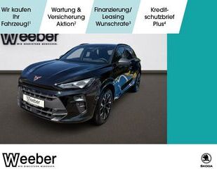Cupra Terramar Gebrauchtwagen