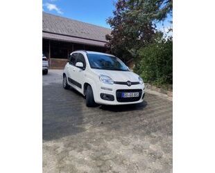 Fiat New Panda Gebrauchtwagen