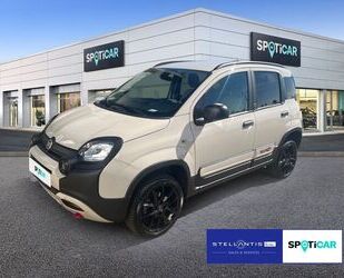 Fiat Panda Gebrauchtwagen
