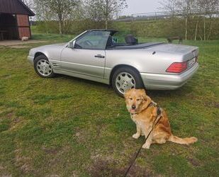 Mercedes-Benz SL 280 Gebrauchtwagen
