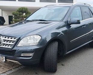 Mercedes-Benz ML 350 Gebrauchtwagen