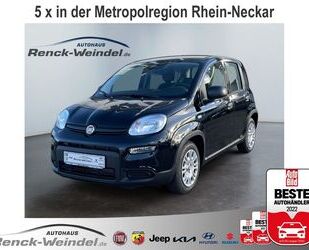Fiat New Panda Gebrauchtwagen
