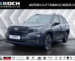 Subaru Forester Gebrauchtwagen