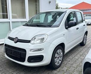 Fiat Panda Gebrauchtwagen