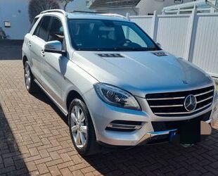 Mercedes-Benz ML 250 Gebrauchtwagen