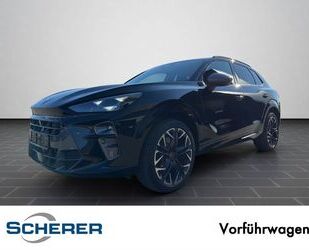 Cupra Terramar Gebrauchtwagen
