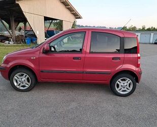 Fiat Panda Gebrauchtwagen