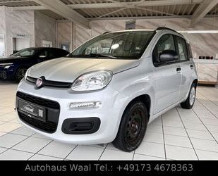 Fiat Panda Gebrauchtwagen