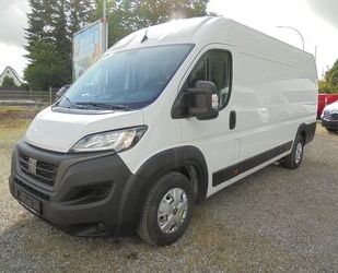 Fiat Ducato Gebrauchtwagen