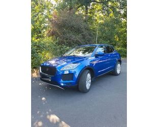 Jaguar E-Pace Gebrauchtwagen