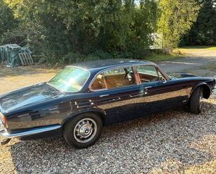 Jaguar XJ6 Gebrauchtwagen