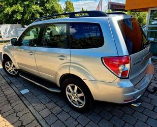 Subaru Forester Gebrauchtwagen