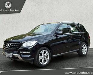 Mercedes-Benz ML 250 Gebrauchtwagen