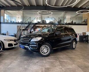 Mercedes-Benz ML 350 Gebrauchtwagen