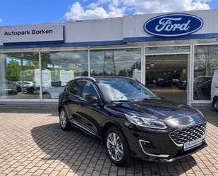 Ford Kuga Gebrauchtwagen